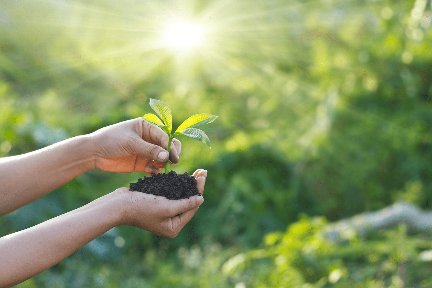 AGRO-PEST  Hurtownia Środków Ochrony Roślin